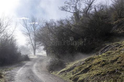 Fear the Fog! A Journey Through Surrealism and Survival in Foglands